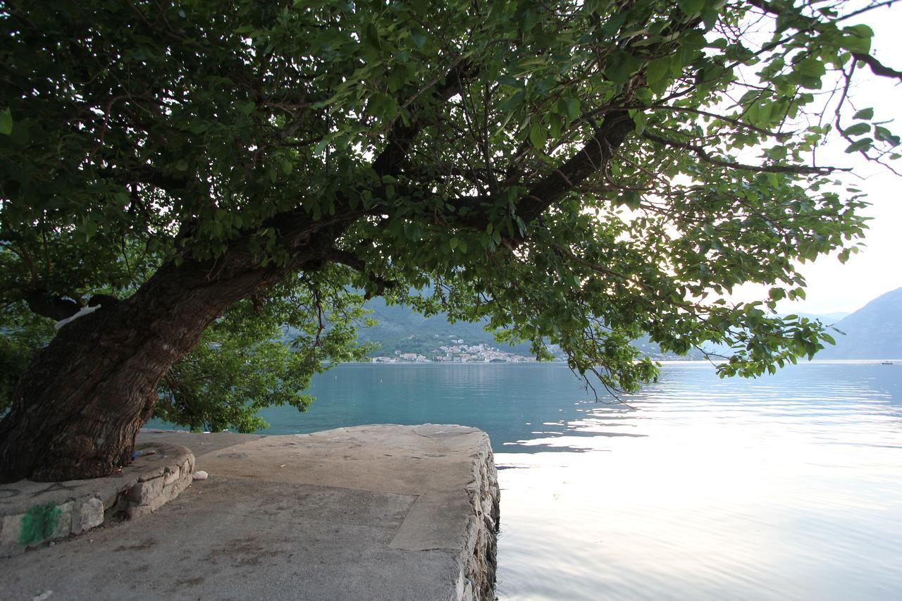 Adriatic Pearl Apartments Kotor Kültér fotó